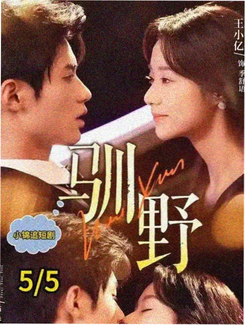 蓝天影视热度榜第二名剧集缩略图